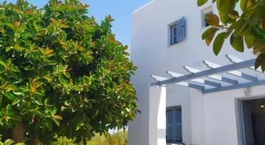 Apanema Paros - Image 3