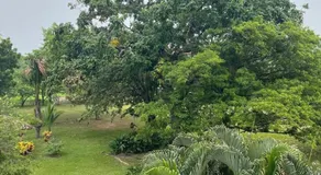 Yopo Resort - Image 5