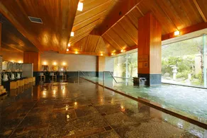 Hida Takayama Onsen Takayama Green Hotel - KEIO GROUP HOTELS - - Image 4