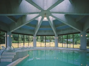 Yakushima Iwasaki Hotel - Image 2
