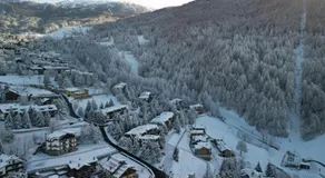 B&B Petit - Image 4
