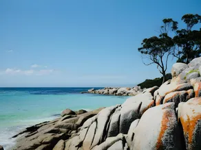 Bay Of Fires Apartments - Suite 2 - Image 4