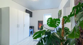 Treehouse - Image 3