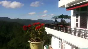 Hotel O Home 810612 Satyam Home Stay Kasauli Dharampur - Image 3