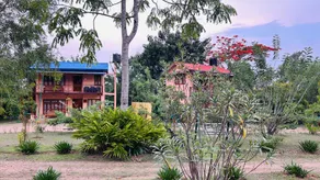Aranyasun - Image 4