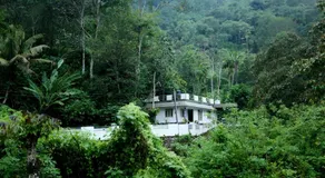 Morning Hills - Image 5