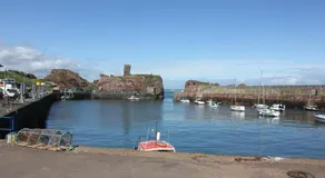 Dreamhaven - Image 5