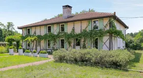 La résinière de pirique - Image 2