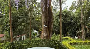 Glamping la cabaña - Image 5