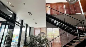 Duque de Wellington - Image 3
