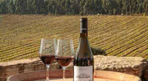 Quinta da Murnalha - Image 3