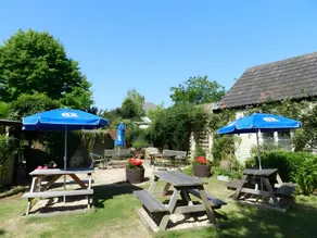 The Old Ham Tree - Image 5