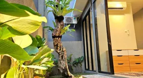 Rania Guest House - Image 4