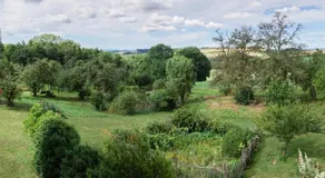 Waldbothgut - Image 5