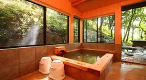 Kurasako Onsen Sakura - Image 3