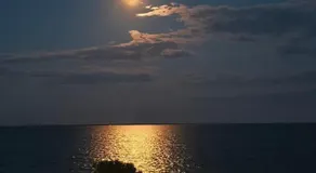 Elisenda - Image 5