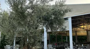 Pensión Xiquena - Image 3