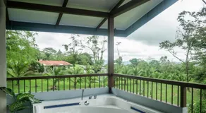 Divan Jungle Lodge - Image 3