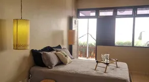 Pitaia casa para temporada - Image 2