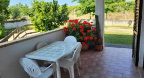 COLLINA FIORITA - Image 2