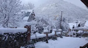 Borjomi Cottages - Image 4