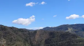 I profumi del bosco - Image 5