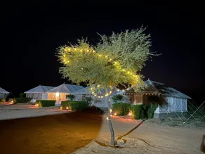 Sunny Desert Camp - Image 2