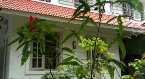 Coconut Grove - Image 5