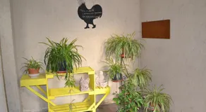 Il Giardino del Gallo - Image 4