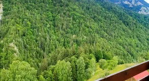 Mosorel - Image 5