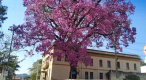 Casa Rosário Centro de Amparo - Image 2