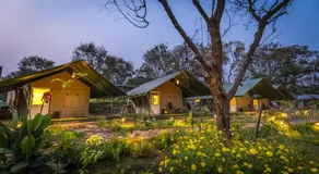 Camp Sethumadai - Image 5