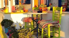 Viva Margarita - Image 5