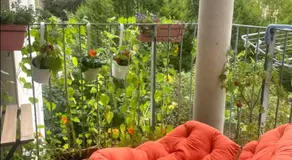 MariaHilferHome - Image 3