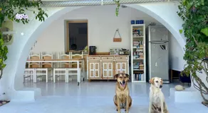 casa Namaste - Image 5