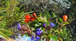 Bienvenue chez Lilaroma - Image 4