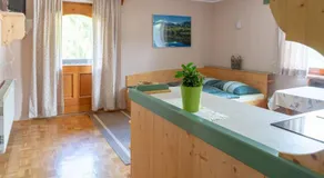 Apartments Maja by the river - Image 3