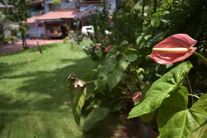 Ben's Villa Kannur ! - Image 3