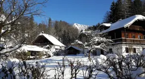 Jugendgastehaus St. Gilgen - Image 5