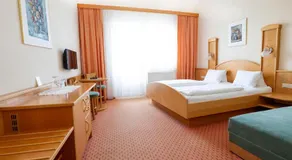 Panoramahof Ziegler - Image 2