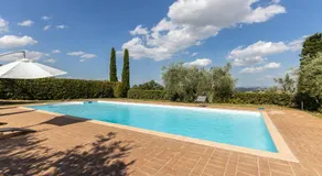 L'Aquila e L'Ulivo - Image 3