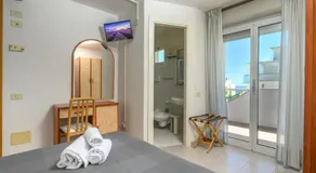 Hotel Villa Lina ANGOLO VIALE DANTE - Image 5