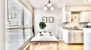 City Outside & Tranquility Inside - Image 5