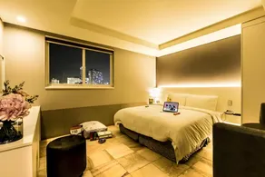 The Petel Premium Suite - Image 2