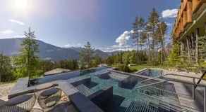 My Arbor - Dolomites - Image 4