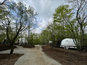 MOSS JURIGI CAMP RESORT - Image 5