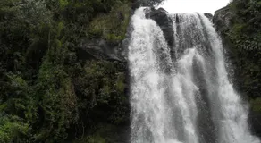 Chalés Serrinha do Papagaio - Image 5
