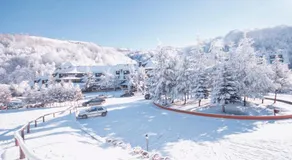 Guesthouse Junior - Image 3