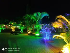 Whispering Woods Resort-Lonavala - Image 2
