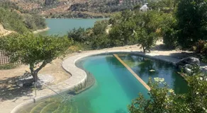 La calma entre naranjos - Image 5